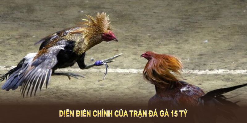 Diễn biến chính và kết quả của trận đá gà 15 tỷ