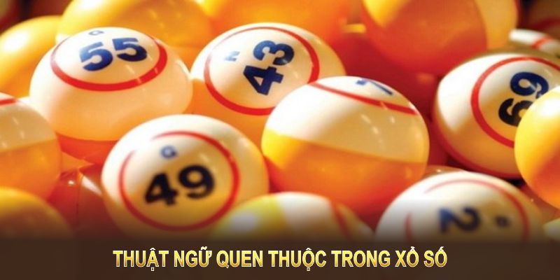 Thuật ngữ quen thuộc trong xổ số cần biết để xác định các dấu hiệu